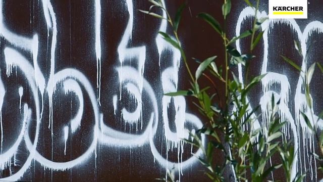 Кейс: чистый город