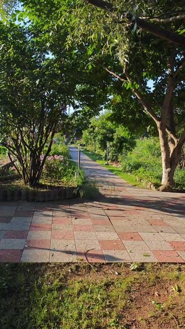 обрезка сада в природном стиле