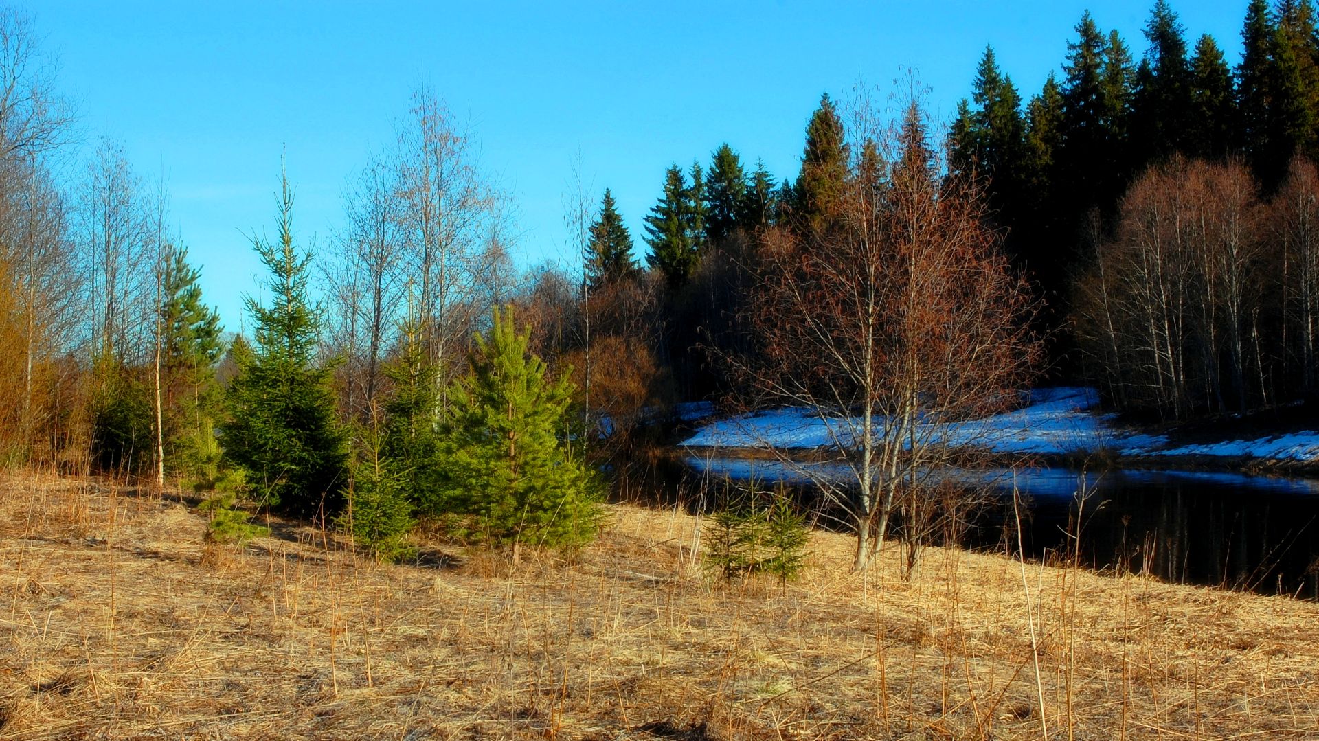 Архангельская область апрель
