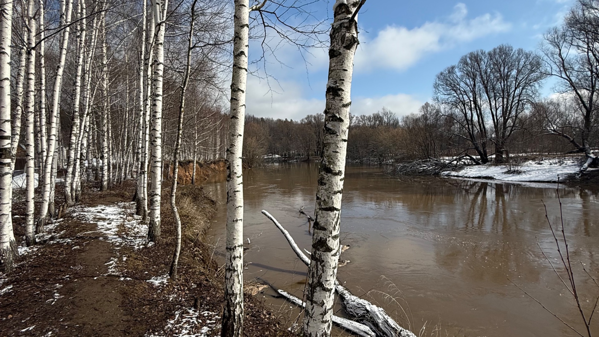 СНТ ЩЕРБАКОВКА