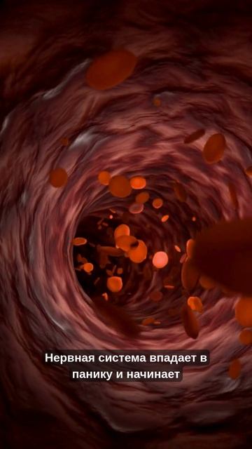 НРАВЯТСЯ СТРАННЫЕ ЗАПАХИ?