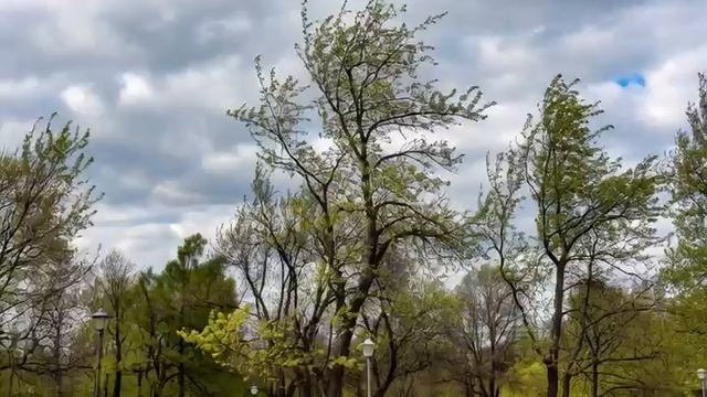 🌤Сегодня будет облачная погода без существенных осадков.  Северо-восточный ветер 7-12 метров в секу