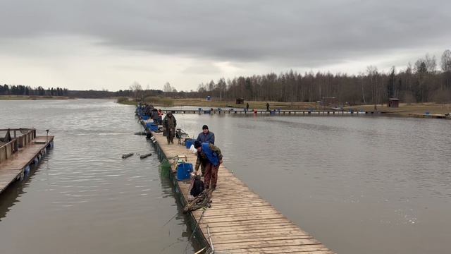 Запуск форели в акваторию !!!