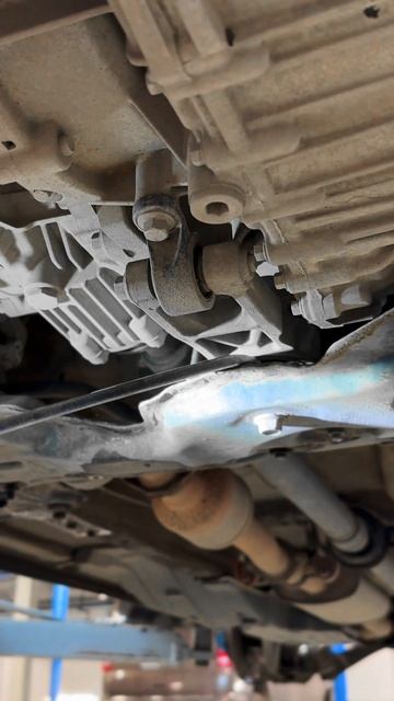 0a06473f683c0444066c6ff140831933