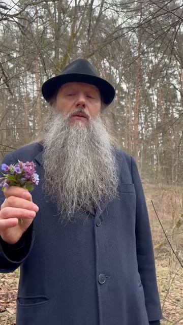 «Весенний букет». Духовная телеграмма от Батюшки, 15 апреля 2026