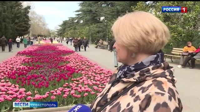 В Севастополе высадили больше 300 тысяч тюльпанов