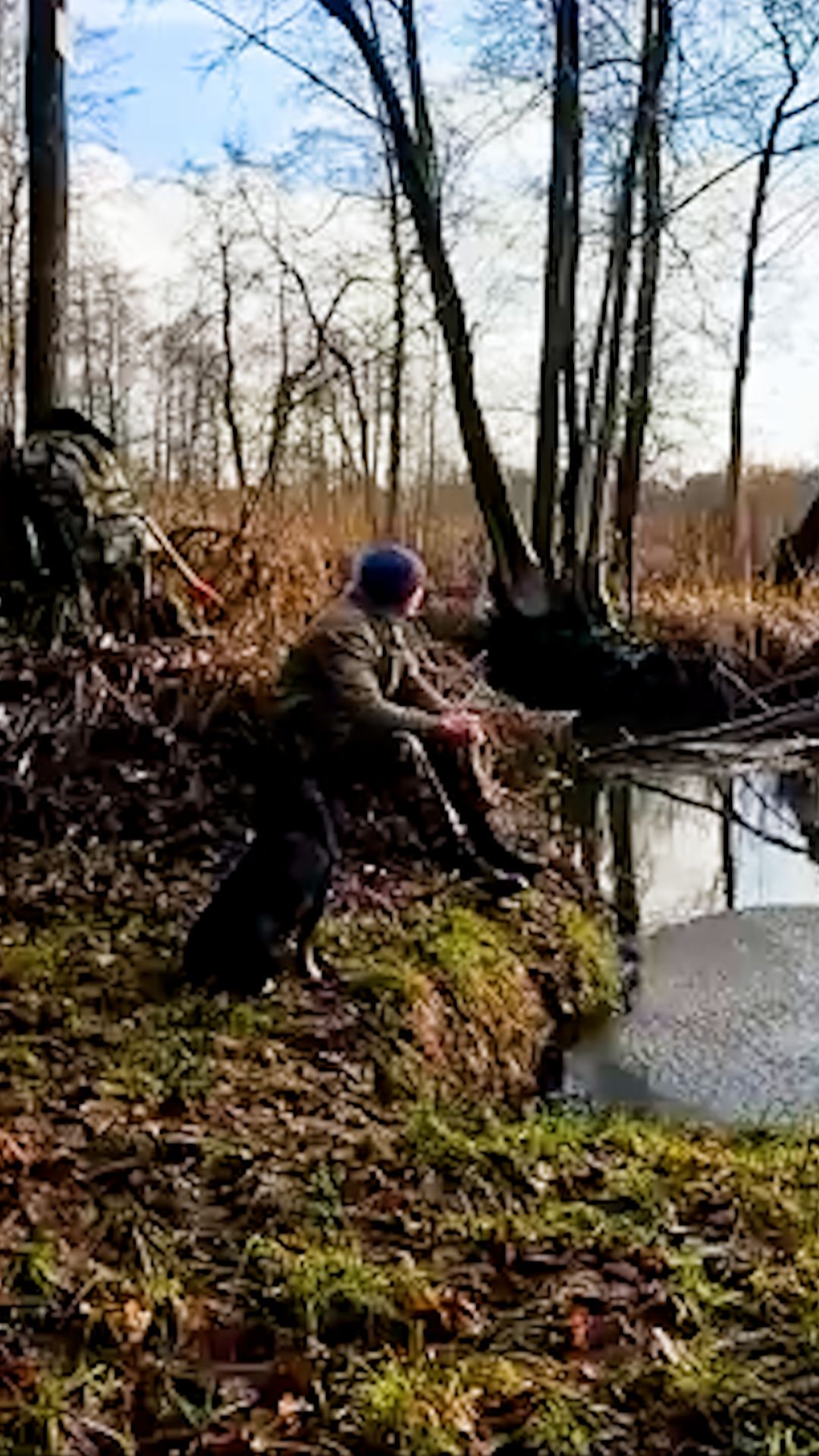 Живу в лесу с собакой