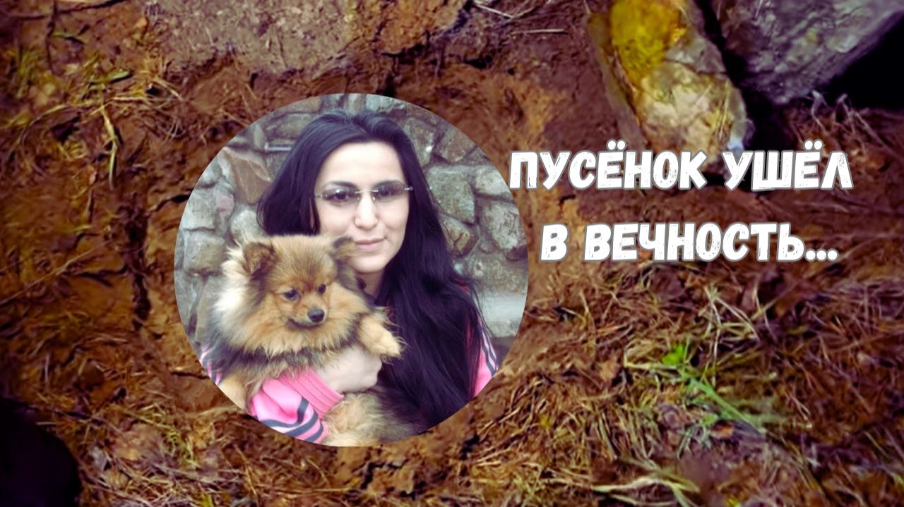 ПУСЁНОК УШЁЛ В ВЕЧНОСТЬ...