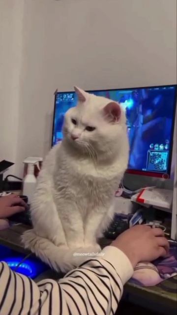 Думаешь, что твои игры важнее меня