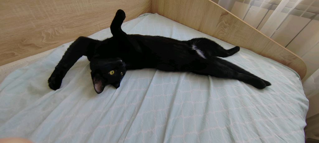 2 часть я иду в музыкалку