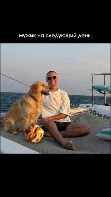 Будь в тренде, выбирая для своей собаки нюхательный мяч Арт. WB #WW367437