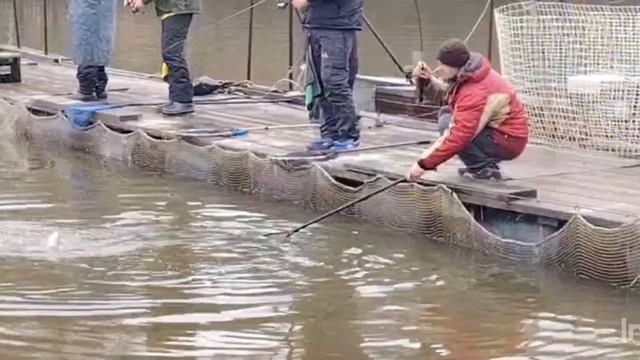 Спортзона.Поимки