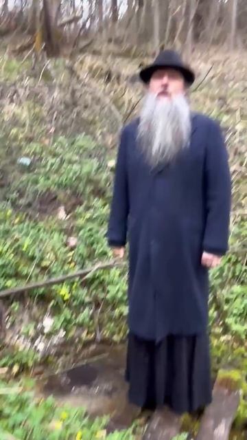 «Сказочный родник». Духовная телеграмма от Батюшки, 15 апреля 2026