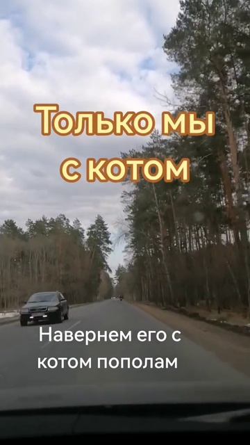 Только мы с котом