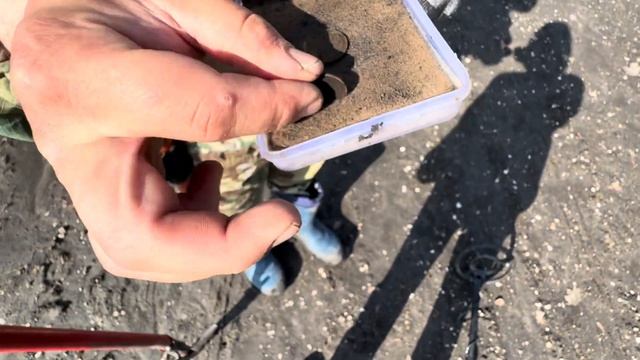 МЕТАЛЛОИСКАТЕЛЬ ЗАОРАЛ… НАШЛИ СОВЕТСКИЕ МОНЕТЫ!