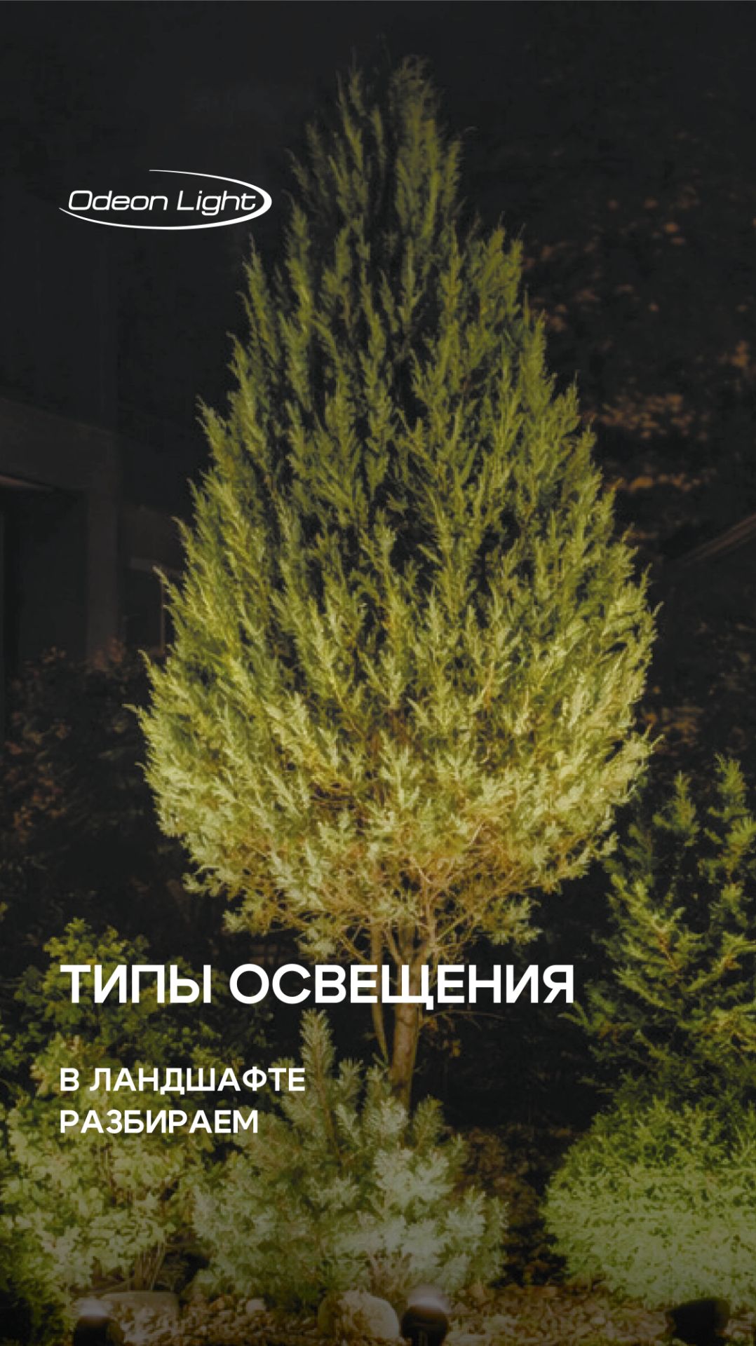 Разбираем типы освещения в ландшафте