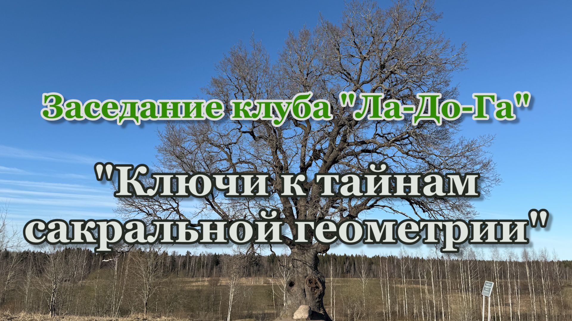 Лекции на тему: 