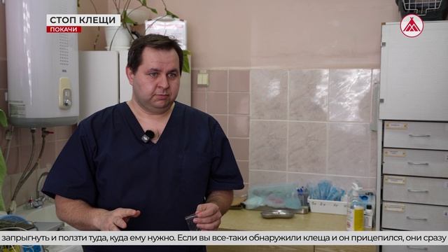 Как обезопасить домашнее животное от клещей?