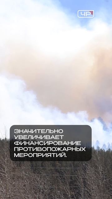 Правительство взяло на контроль пожары