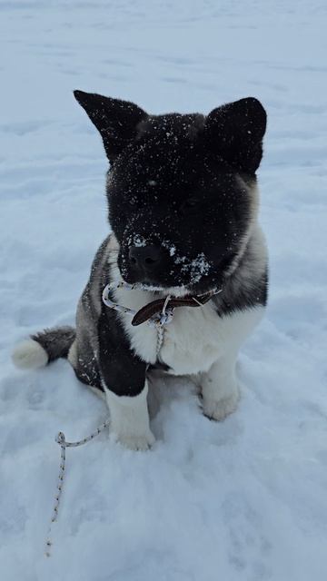 Зимняя рыбалка в Пролетарском.