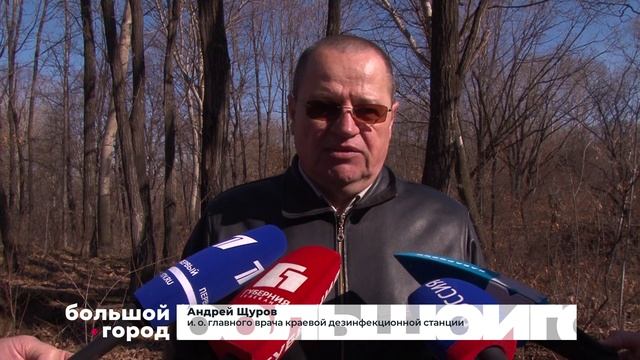 ОБРАБОТКА ОТ КЛЕЩЕЙ. Большой город 15/04/2026