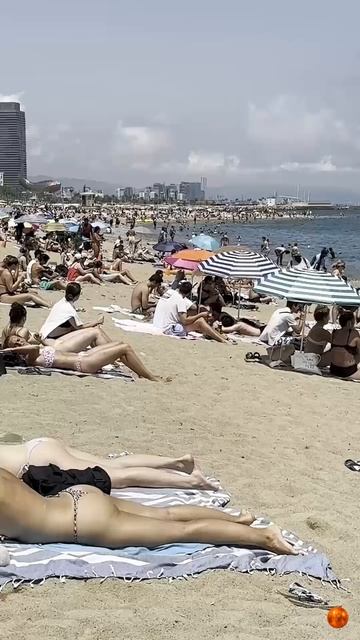 #Shorts Летний отдых на пляже в Испании. Барселона.