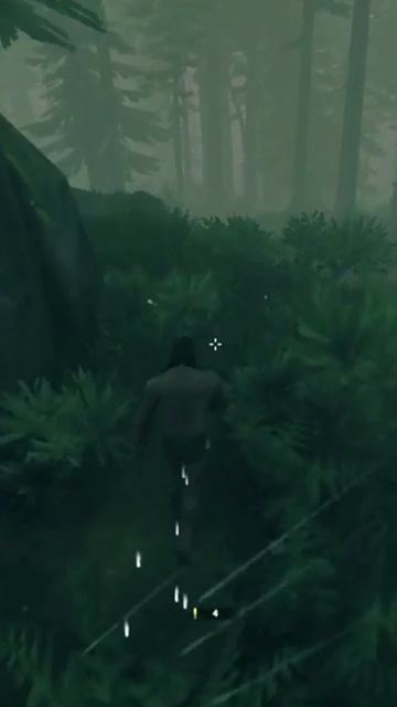 Valheim - объеснение