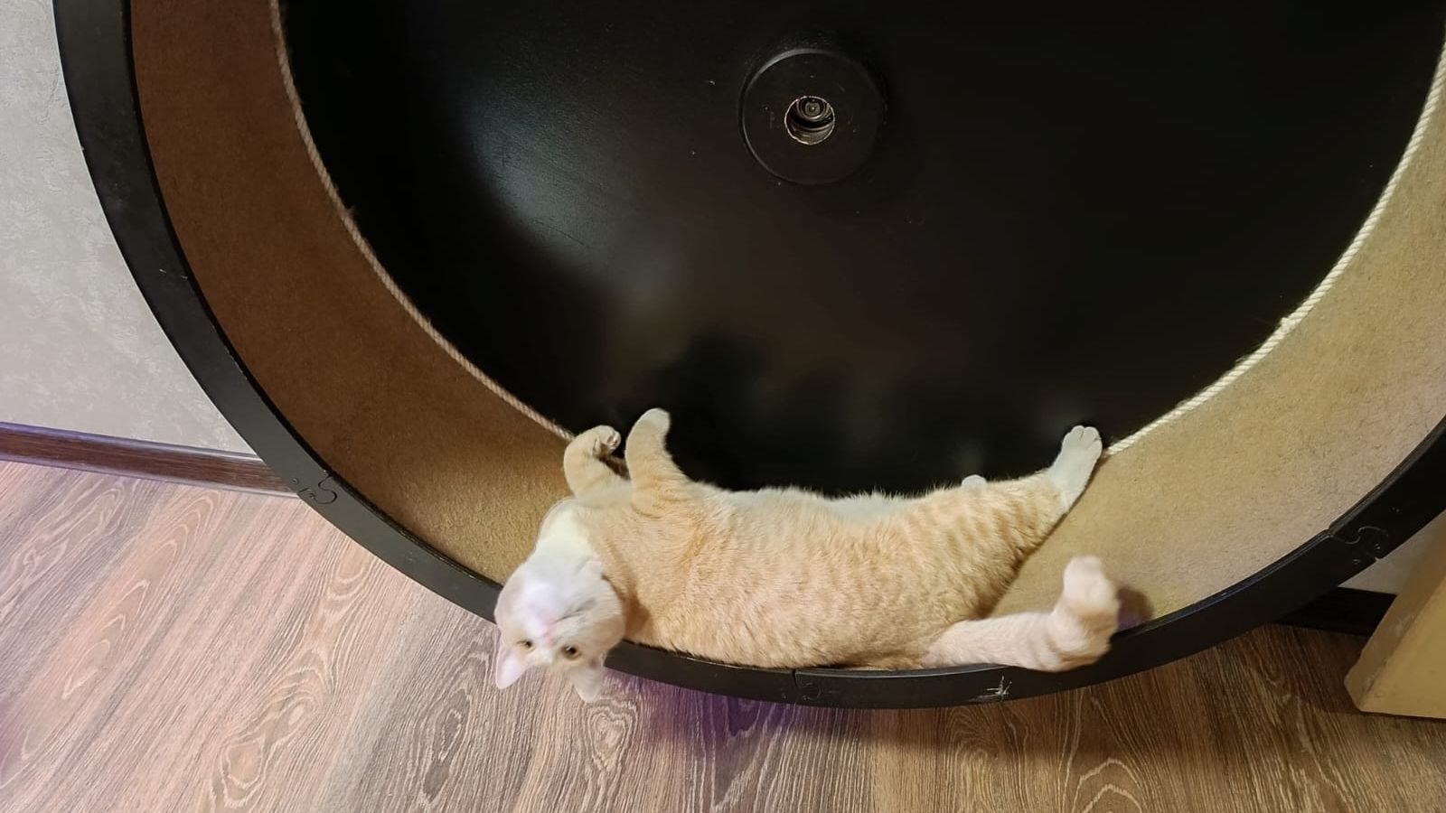 Лучший тренажер и хит продаж всех времен, и народов❤