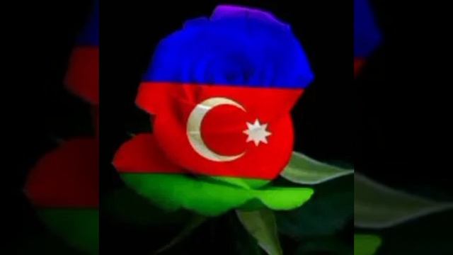 Анна Байрашная - ваши розы