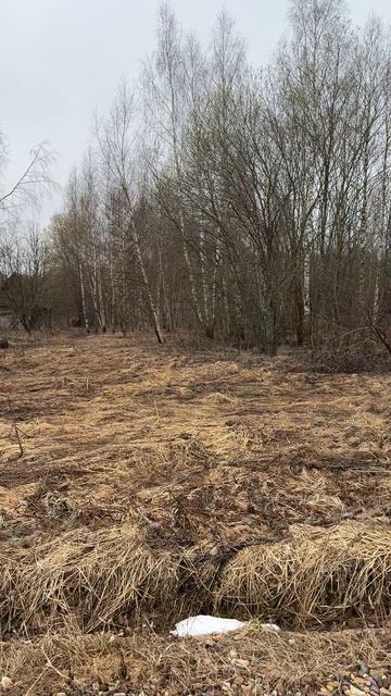 Продается участок 25 соток в д.Бакино, Александровский р-н, Владимирская обл. Газ и электричество.