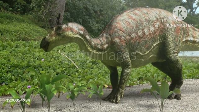 Why A Did That Animal An Eating?