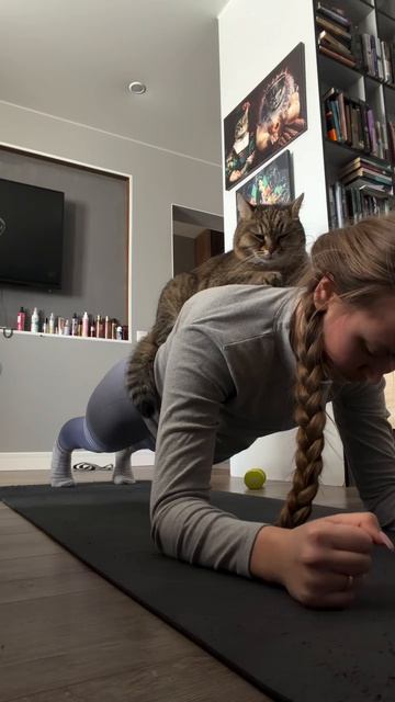 Супертяжелая планка