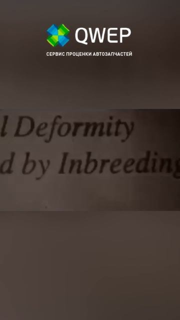 Так и запишем #автозапчасти #юмор #автомагазин #бизнес #авто #автобизнес #сто #автосервис