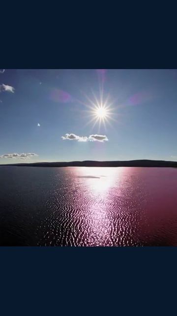 #популярный #современный #культура #знаменитости