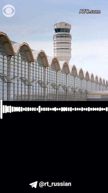 Два американских пилота мяукали и гавкали во время рейса. Авиадиспетчер сделал им замечание.