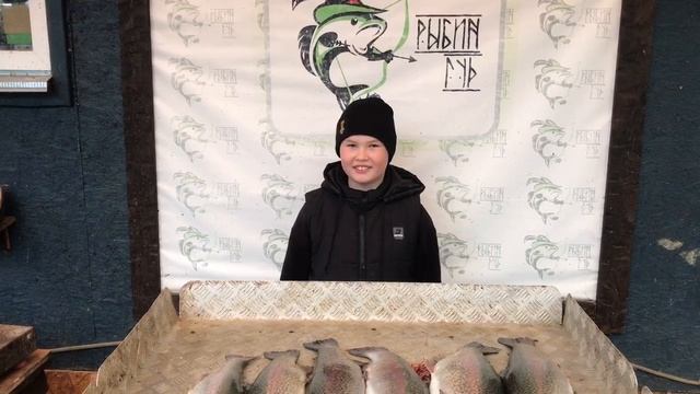 улов форели 11.2 кг