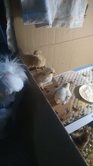 и не нужно торчать под дверью!дома никого нет!