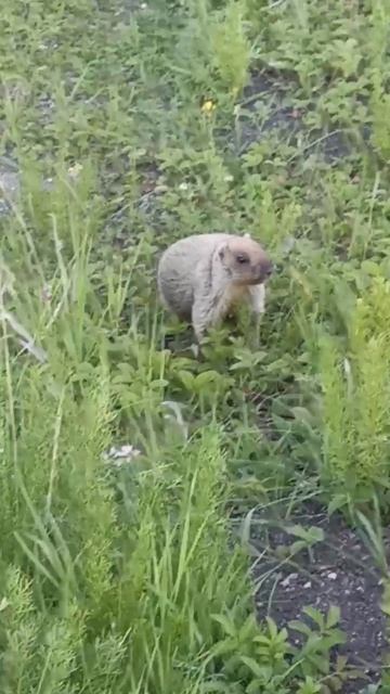 16bf81aced9a8a71bfc6f8a169aba0f6