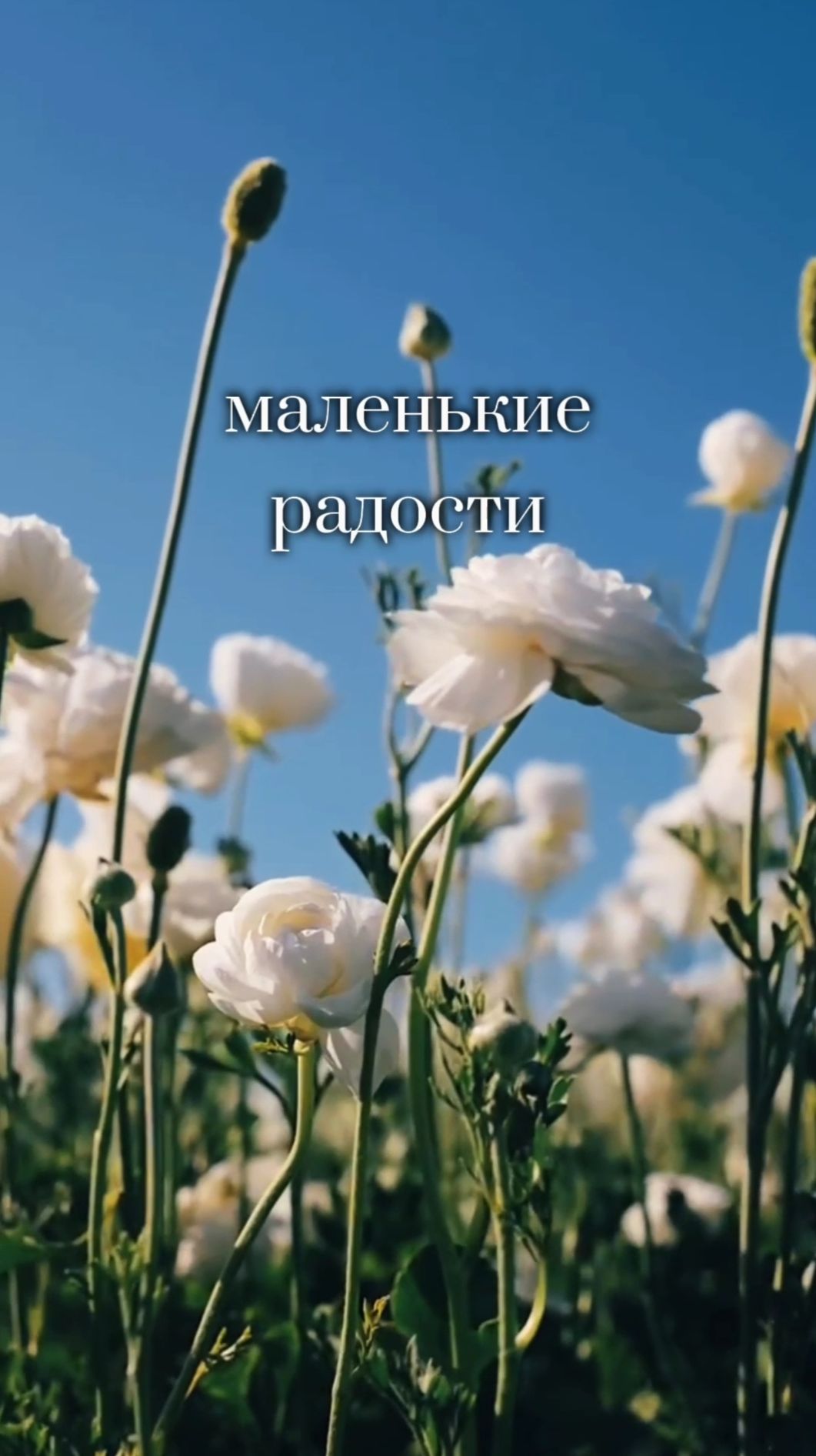 Мысли вслух