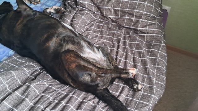 Оскар этой Богине💥💥💥😍❤️💋