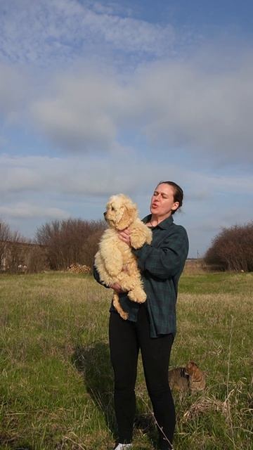 Стоит ли стричь щенков перед продажей?