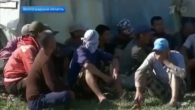 Какую отраву нам подсовывают на стол китаезы?😡😡😡