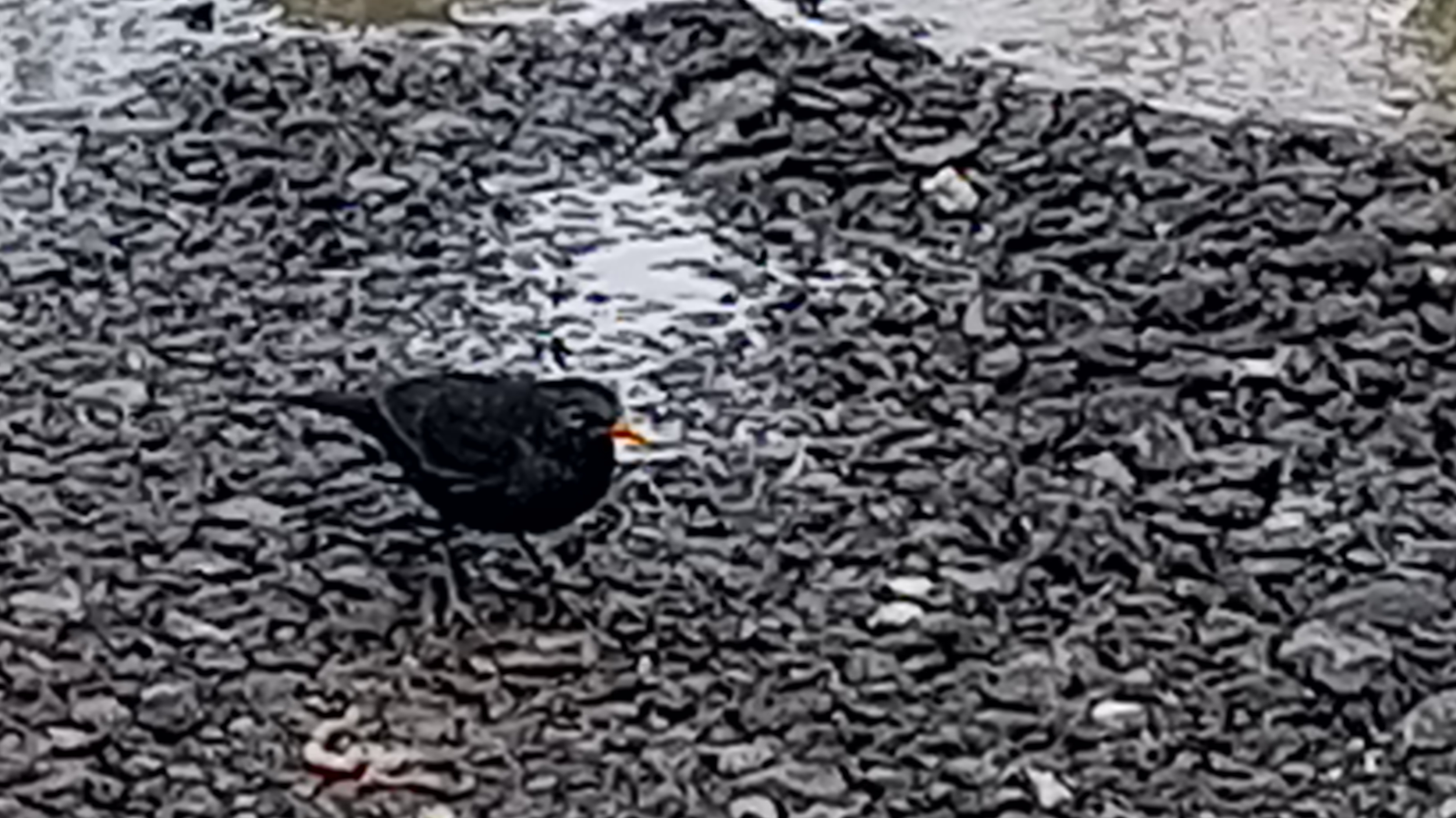 58c34f062a081521aefb4a9ca2e3e98e