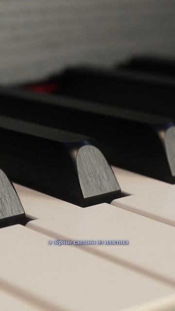 Особенности деревянных клавиатура Yamaha