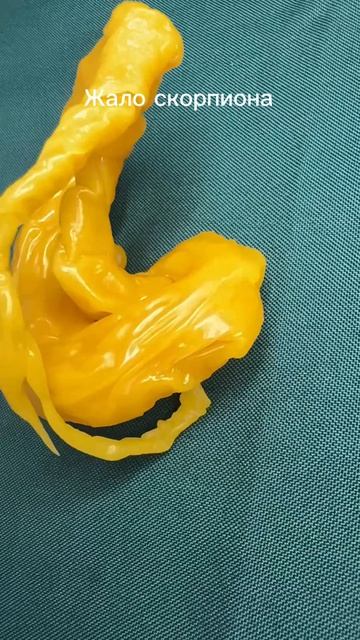 Жало скорпиона в данном случае говорит о скрытой болезни