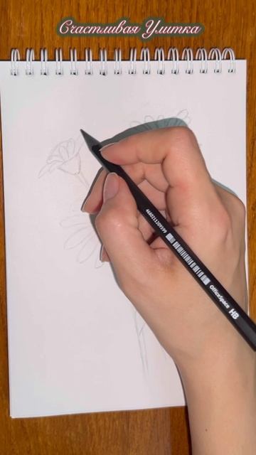 Рисунок карандашами Цветы