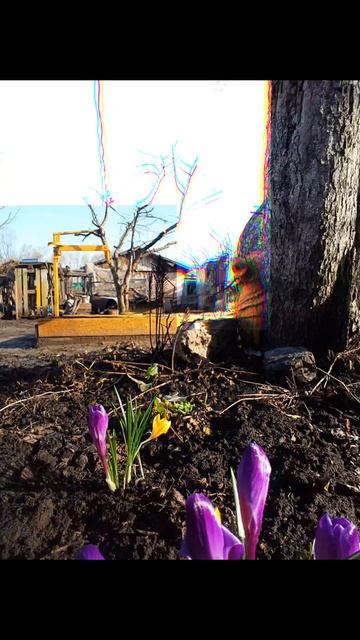 Весна, чудим и прокаливаем Садж😎