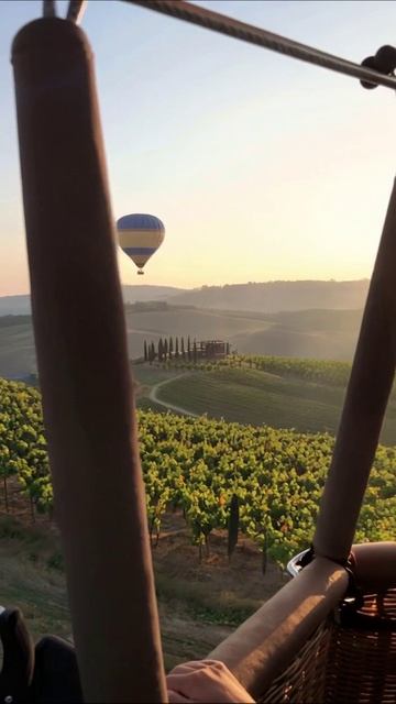 Волшебный полет на воздушном шаре над виноградниками #воздушныйшар #путешествие #природа