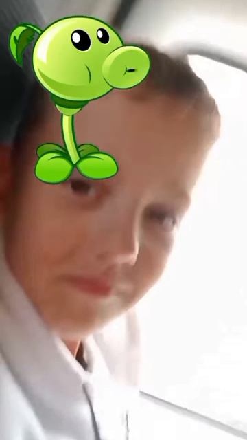 С пацаном едем в сказку