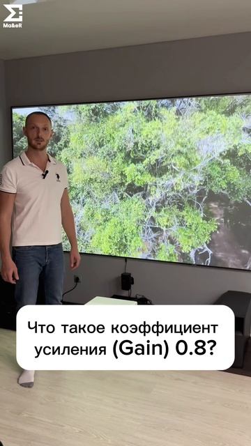 Что такое коэффициент усиления (Gain) 0.8?